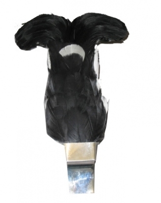 BLACK COCK FEATHER AS WORN ON GLENGARRY