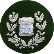 Drum Major Badge Silver Bullion on Green