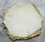goat skin vellum drum head natural white 12"